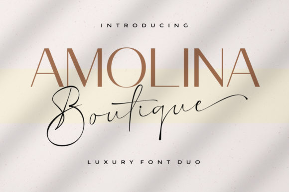 Amolina Boutique: A Dual-Typeface System for Modern Branding