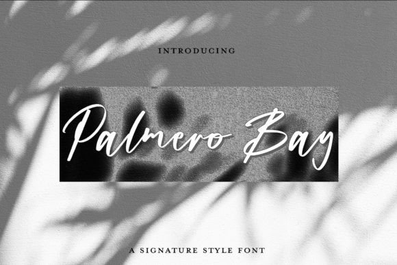 Palmero Bay: The Signature Script for Elevated Branding
