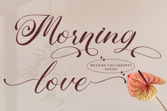 The Art of Elegant Script: Working with Morning Love