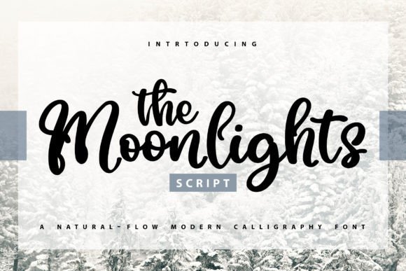 The Moonlights: A Script Font with a Warm, Modern Touch